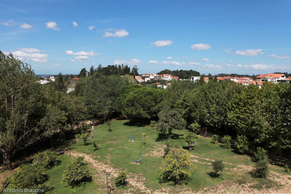 Luso-201408-Fot-AntonioBracons (18)