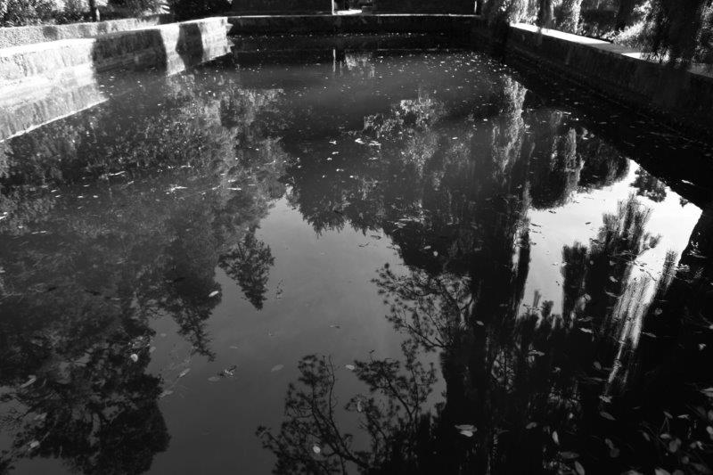 201408-Bussaco-Fot-Antonio-Bracons (18)