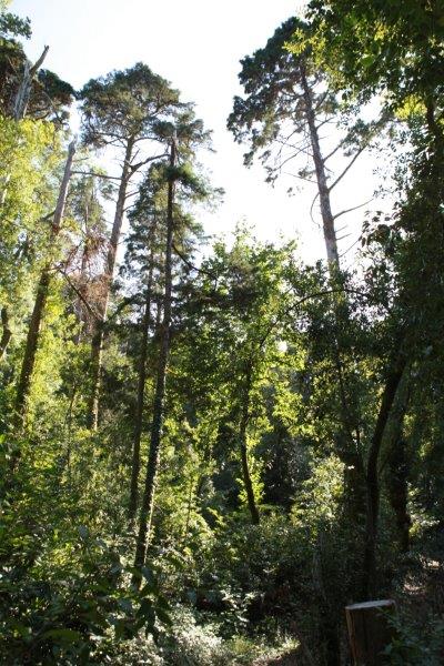 201408-Bussaco-Fot-Antonio-Bracons (20)