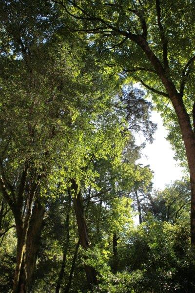 201408-Bussaco-Fot-Antonio-Bracons (21)