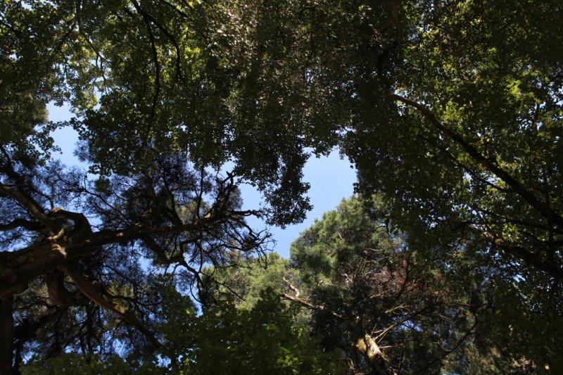 201408-Bussaco-Fot-Antonio-Bracons (23)