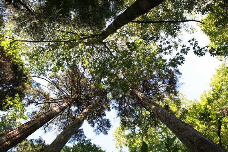 201408-Bussaco-Fot-Antonio-Bracons (24)