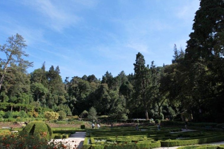 201408-Bussaco-Fot-Antonio-Bracons (7)