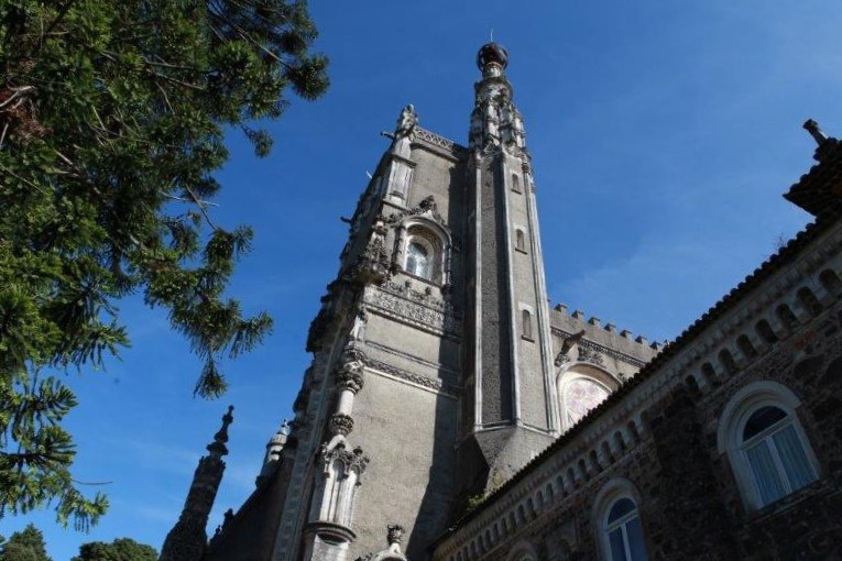 201408-Bussaco-Fot-Antonio-Bracons (8)