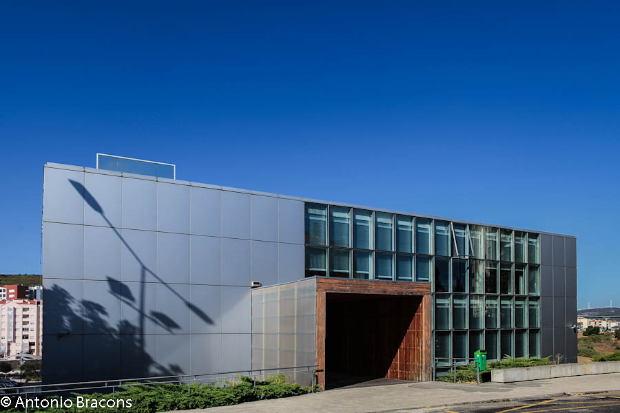 BMJS 1-3-FotAntonioBracons