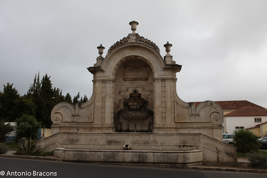 Caldas da Rainha-1-2010-FotAntonioBracons (1)