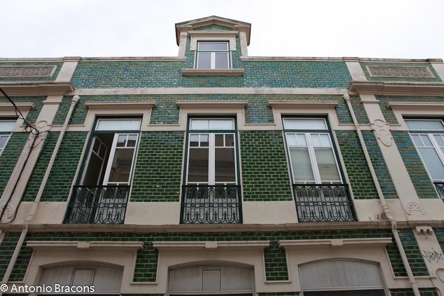 Caldas da Rainha-1-2014-FotAntonioBracons (8)