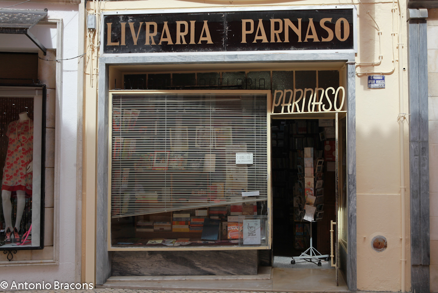 Caldas da Rainha-2-2014-FotAntonioBracons (6)