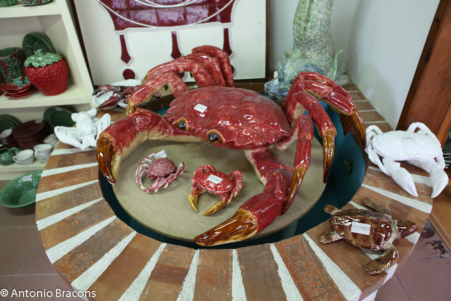 Caldas da Rainha-LojaFabr-2010-FotAntonioBracons (5)