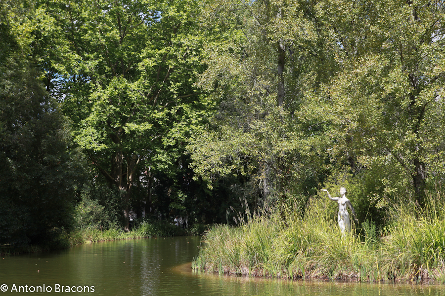 Caldas da Rainha-Parque-2014-FotAntonioBracons (11)