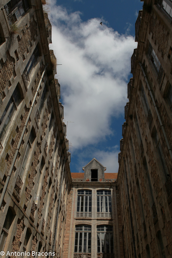Caldas da Rainha-Parque-2014-FotAntonioBracons (4)