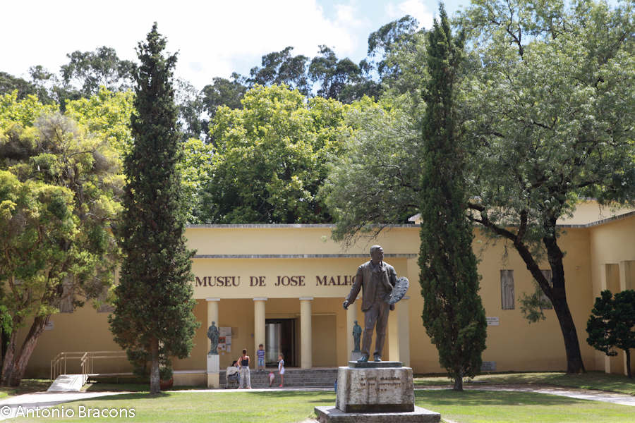 Caldas da Rainha-Parque-2014-FotAntonioBracons (8)