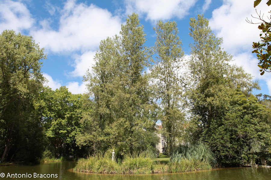 Caldas da Rainha-Parque-2014-FotAntonioBracons (9)