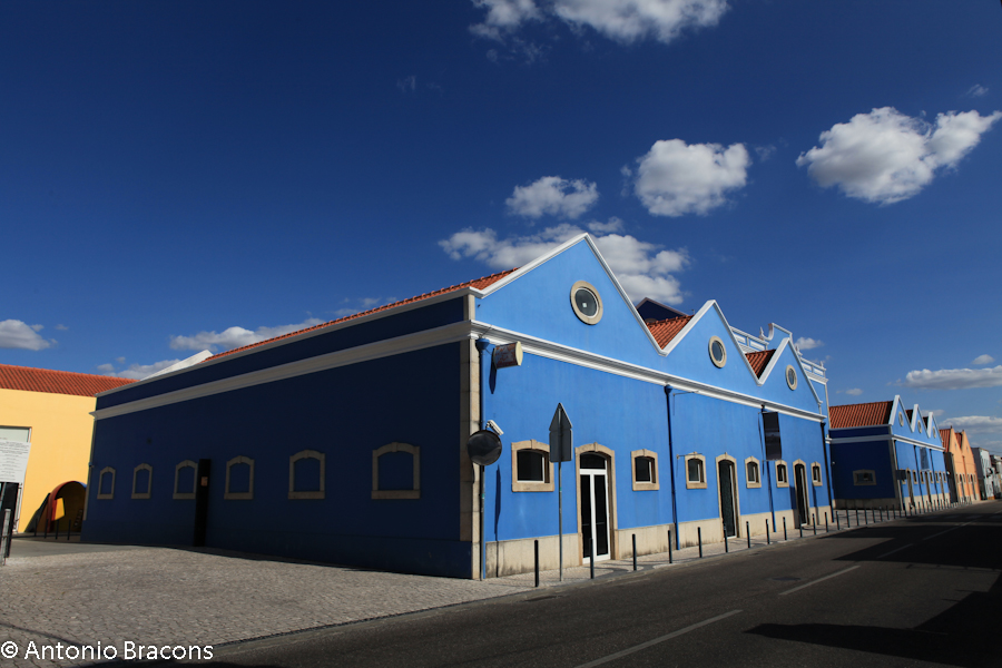 CAC-Ponte de Sor-2014-FotAntonioBracons (1)