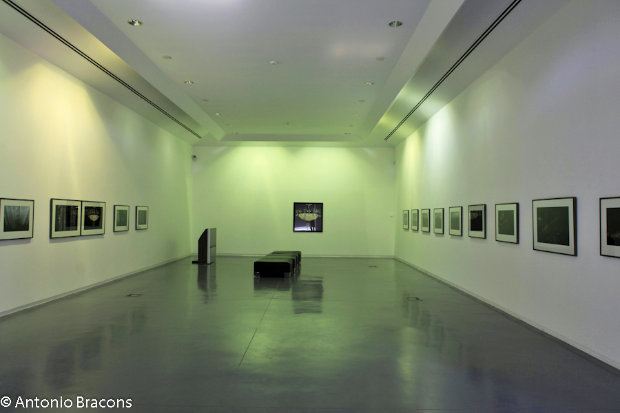 CAC-Ponte de Sor-2014-FotAntonioBracons (6)