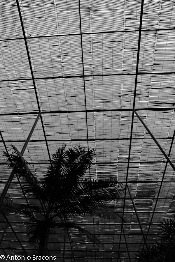 EstufaFria-Lisboa-FotAntonioBracons (1)