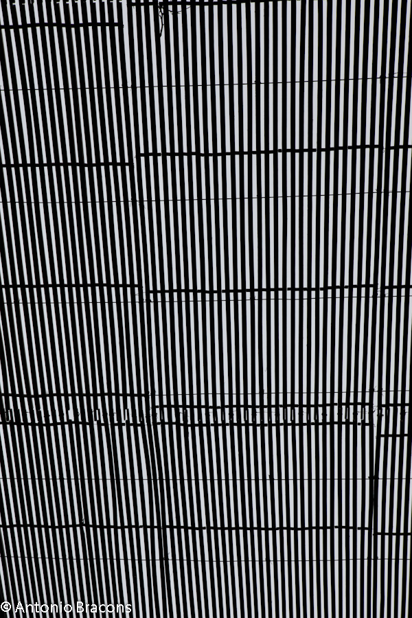 EstufaFria1-Lisboa-FotAntonioBracons (4)