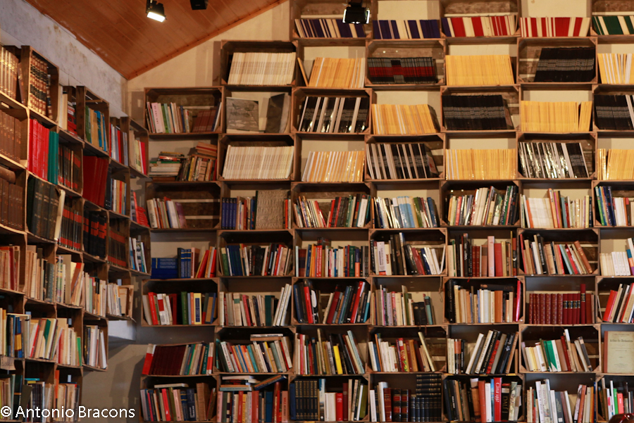 Obidos-MercadoLivraria2014-FotAntonioBracons (3)