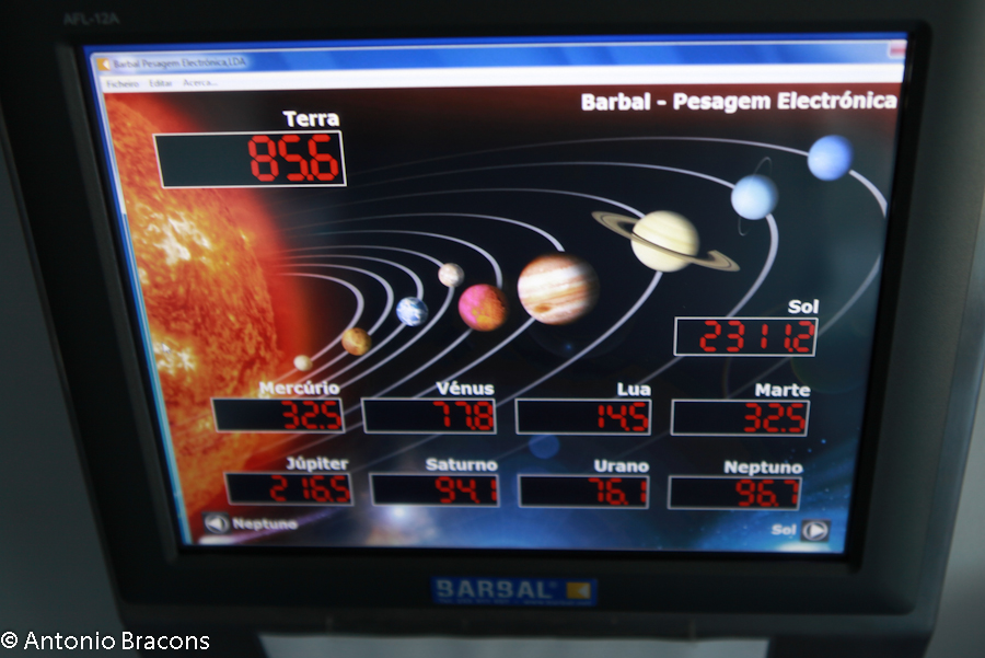 Constancia-CCienciaViva-2012-FotAntonioBracons (9)