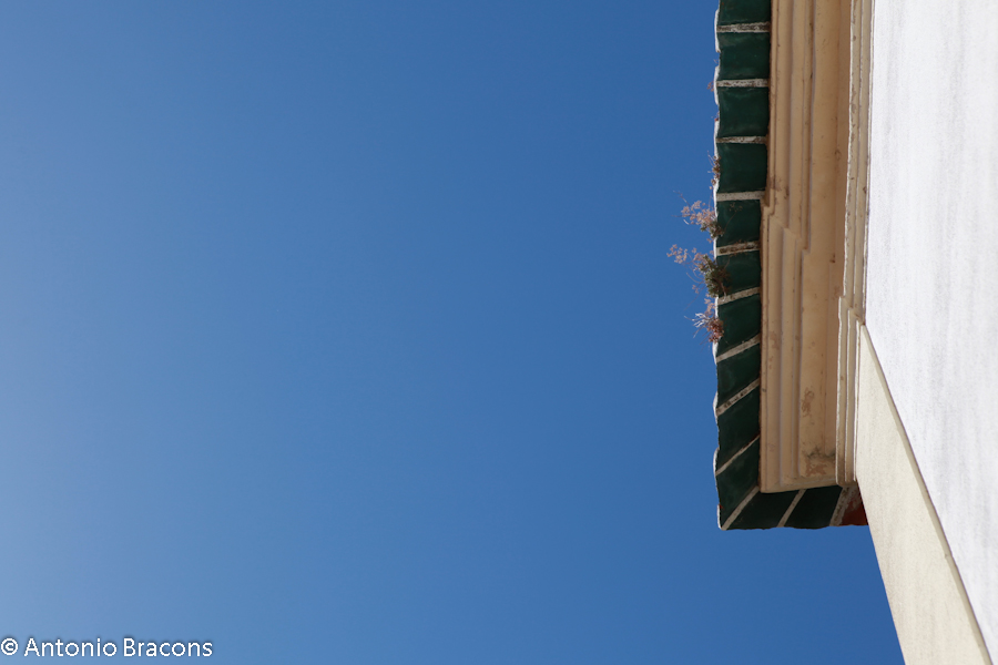 Constancia-V-2012-FotAntonioBracons (11)