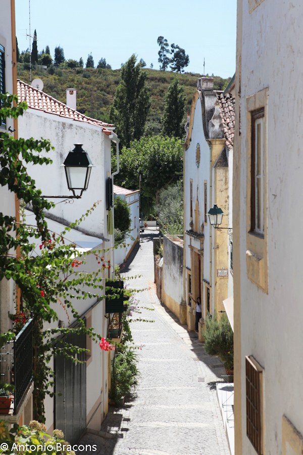 Constancia-V-2012-FotAntonioBracons (12)