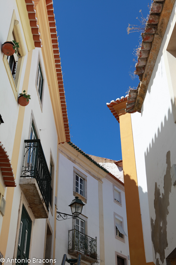 Constancia-V-2012-FotAntonioBracons (3)