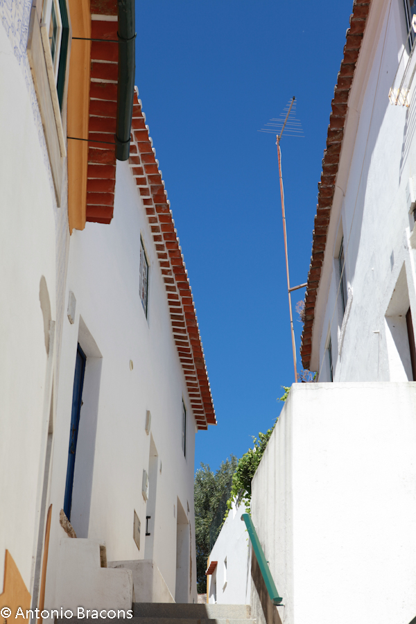 Constancia-V-2012-FotAntonioBracons (5)