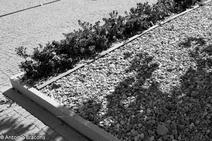 PonteDeSor-CamaraMunicipal-FotAntonioBracons (10)