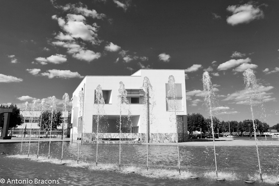 PonteDeSor-CamaraMunicipal-FotAntonioBracons (14)