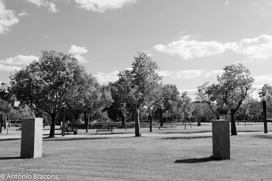 PonteDeSor-CamaraMunicipal-FotAntonioBracons (16)