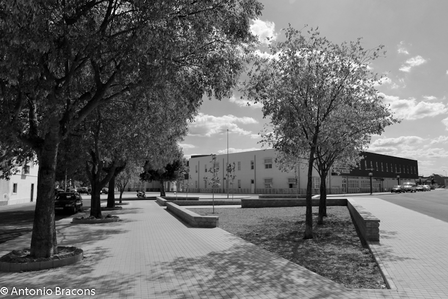 PonteDeSor-CamaraMunicipal-FotAntonioBracons (1)