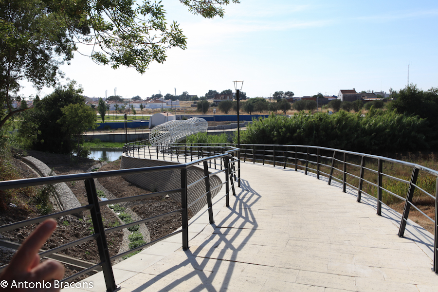 Ponte de Sor-FrenteRibeira-2013-FotAntonioBracons (1)