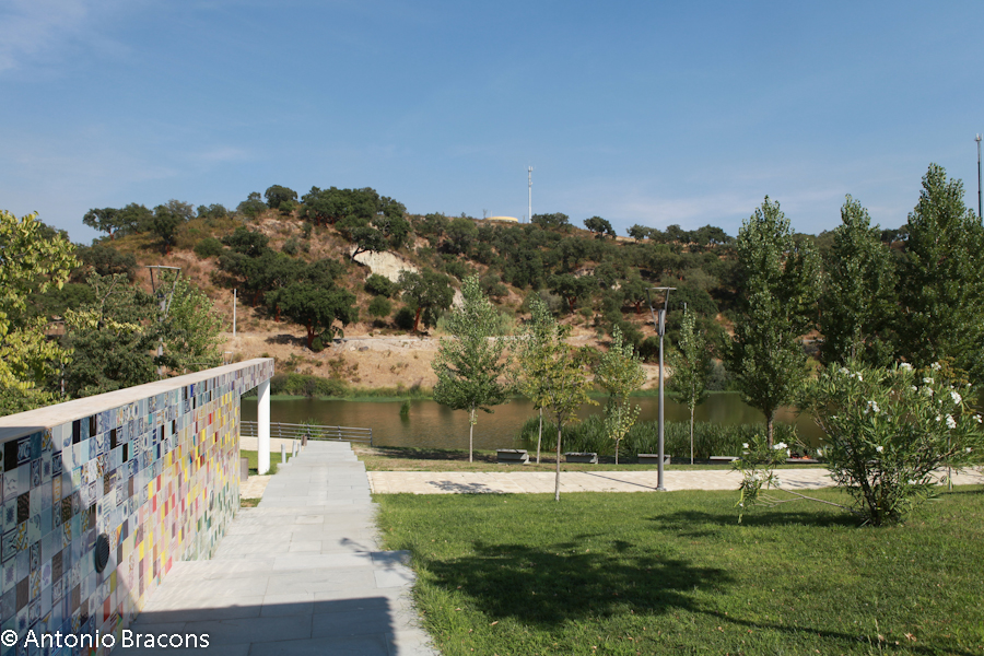 Ponte de Sor-FrenteRibeira-2013-FotAntonioBracons (11)