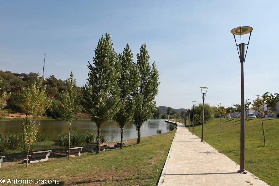Ponte de Sor-FrenteRibeira-2013-FotAntonioBracons (12)