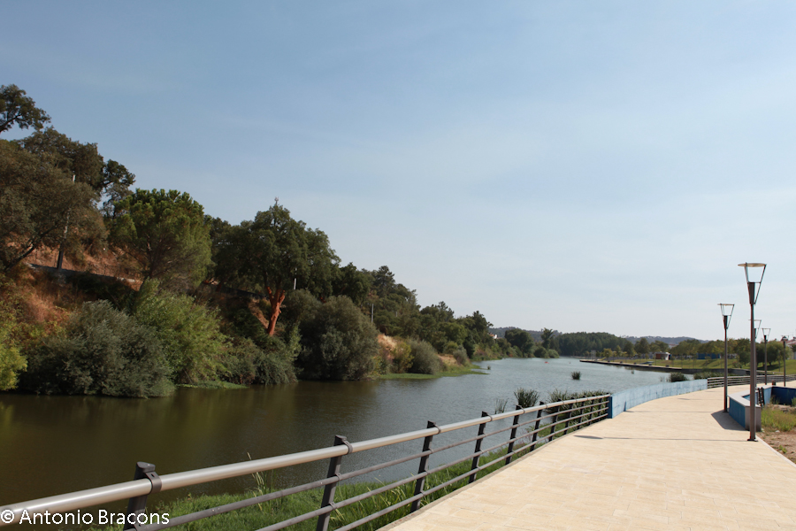 Ponte de Sor-FrenteRibeira-2013-FotAntonioBracons (4)