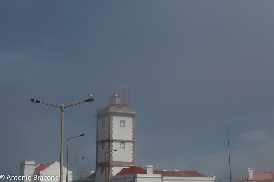 CaboCrvoeiro-Peniche-2014-FotAntonioBracons (1)