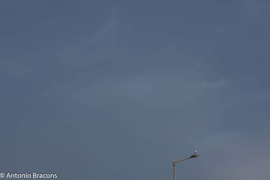 CaboCrvoeiro-Peniche-2014-FotAntonioBracons (2)