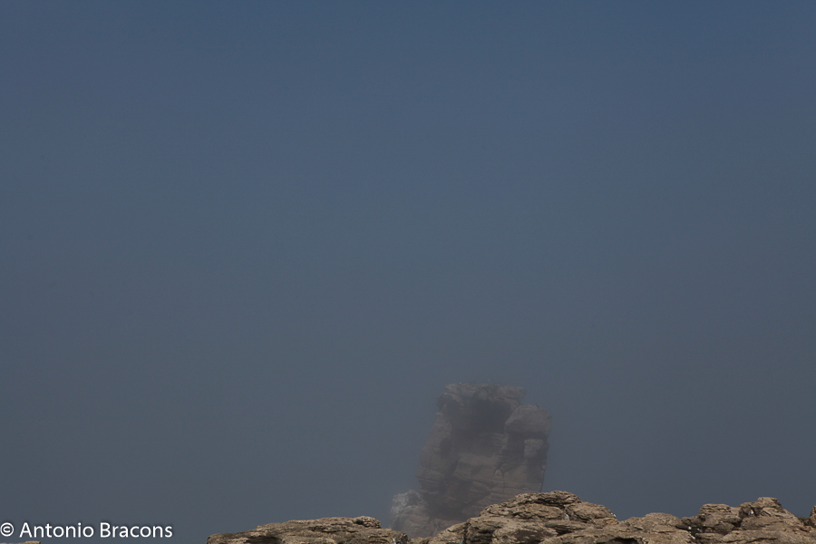 CaboCrvoeiro-Peniche-2014-FotAntonioBracons (3)