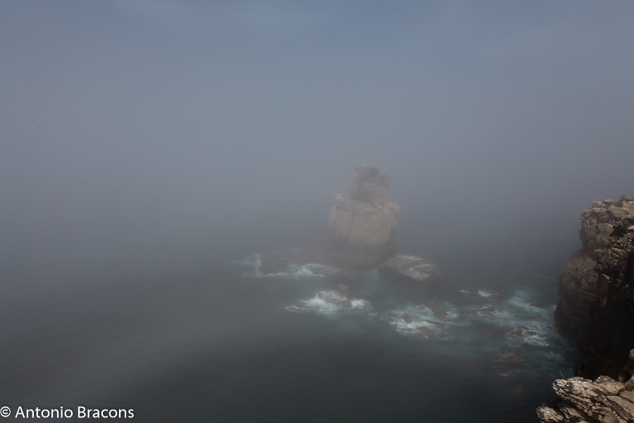 CaboCrvoeiro-Peniche-2014-FotAntonioBracons (6)
