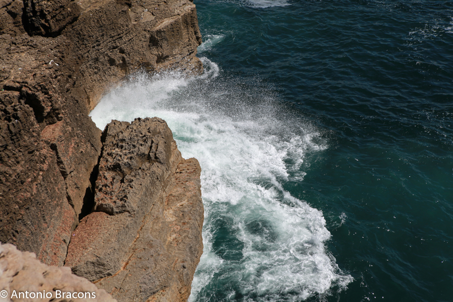 Peniche-CaboCarvoeiro-2015-FotAntonioBracons (5)