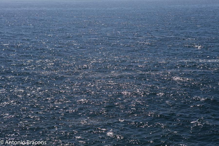 Peniche-CaboCarvoeiro-2015-FotAntonioBracons (7)