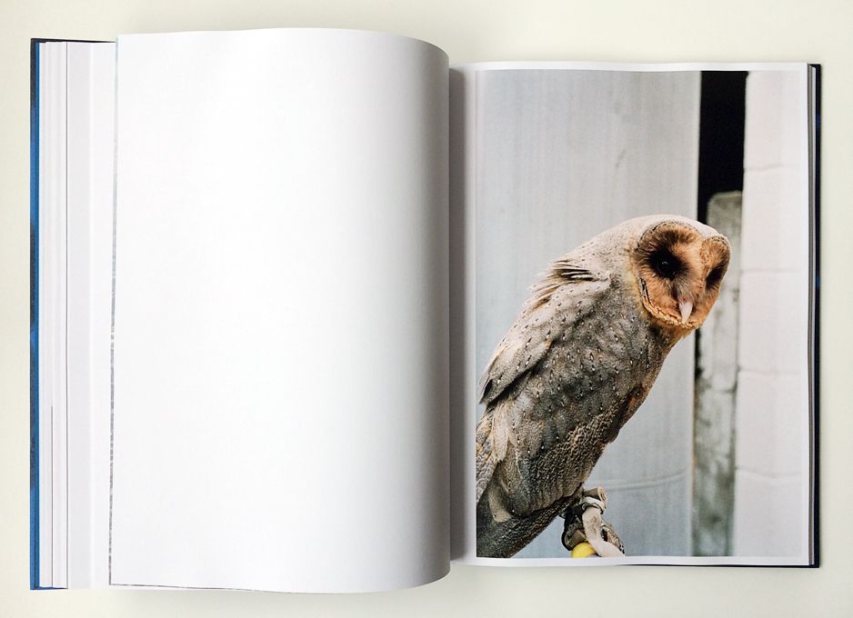 13-81208-13adaffd9e7e46e0a76dfb2653d40fa7