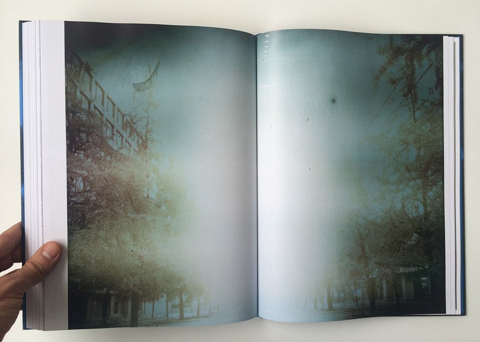 17-81208-a4427213595049bcb3f05f71ff43a72a