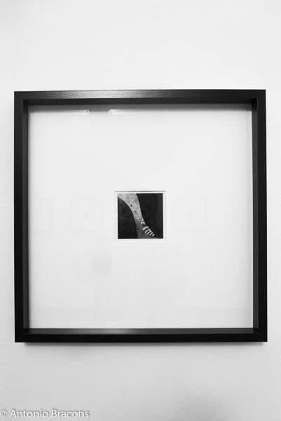 NunoMoreira-ZONA-TravErmida-Lisboa-FotABracons-2016 (3)