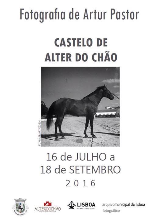 13707791_10208662977125335_7688608834388921496_n