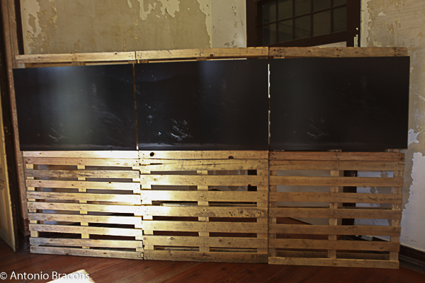 CarpeDiem-Entre_Forcas_Humana_Natureza-Fot_Ant_Bracons-2016 (12)