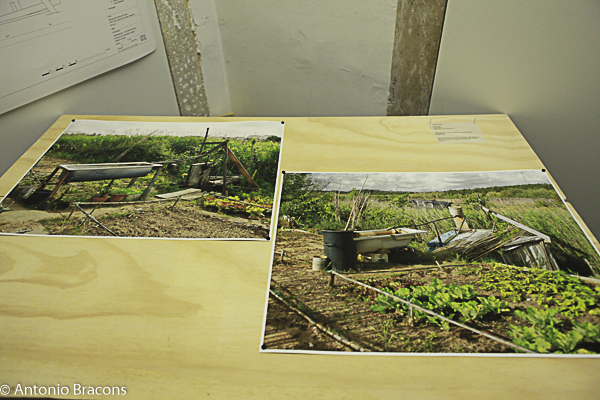 CarpeDiem-Entre_Forcas_Humana_Natureza-Fot_Ant_Bracons-2016 (16)