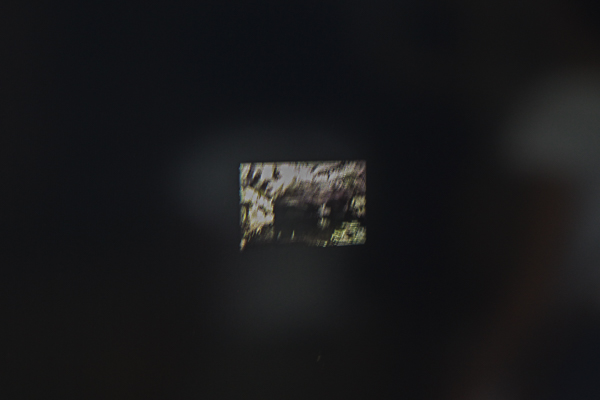 CarpeDiem-Entre_Forcas_Humana_Natureza-Fot_Ant_Bracons-2016 (19)