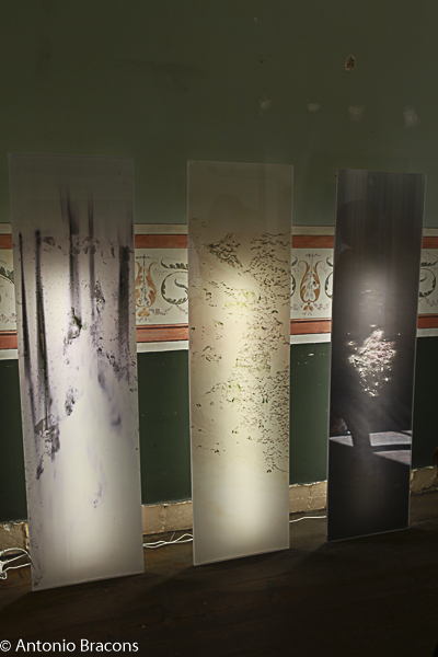 CarpeDiem-Entre_Forcas_Humana_Natureza-Fot_Ant_Bracons-2016 (20)