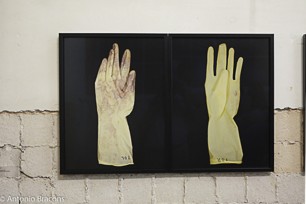 CarpeDiem-Entre_Forcas_Humana_Natureza-Fot_Ant_Bracons-2016 (3)